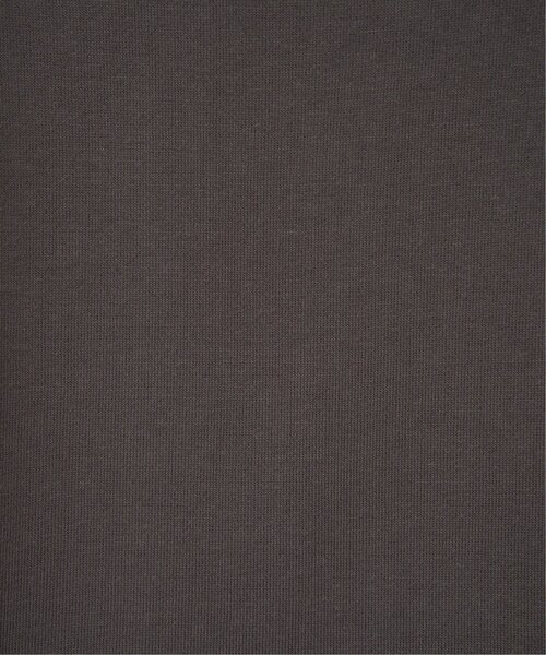 LBC(エルビーシー)の「ハーフジップ裏毛プルオーバー(スウェット・レディース・ナチュラル/ブルー/チャコール・M)」の7枚目の写真