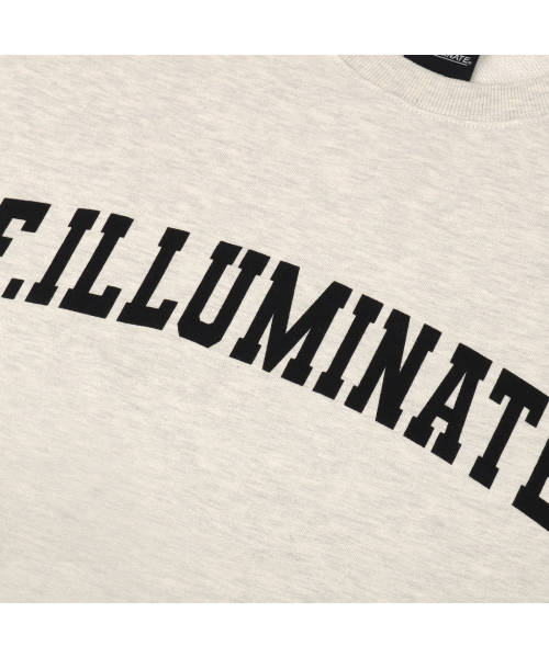 F.ILLUMINATE（フィルミネイト）の「[FW]オーバーフィットアーチロゴスウェットシャツ - オートミール（スウェット・メンズ・その他・S/M/L/XL）」の5枚目の写真