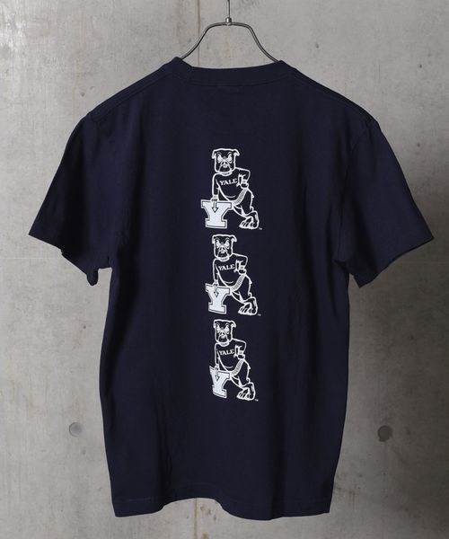US UNIVERSITY×SHIPS JET BLUE: ビックプリントTシャツ◇ US UNIVERSITY×SHIPS JET BLUE: ビックプリントTシャツ◇