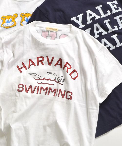 US UNIVERSITY×SHIPS JET BLUE: ビックプリントTシャツ◇ US UNIVERSITY×SHIPS JET BLUE: ビックプリントTシャツ◇