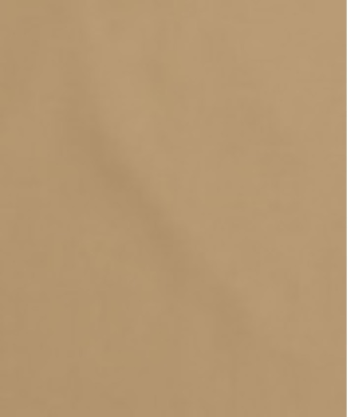 STUDIOUS(ステュディオス)の「【STUDIOUS】TRフライフロントクレリックシャツ(シャツ/ブラウス・メンズ・ブラック/ブラウン/ベージュ/ワインレッド・1/2/3)」の16枚目の写真