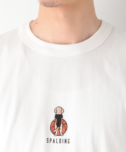 SPALDING(スポルディング)の「【SPALDING】1P/Tee/935410(Tシャツ/カットソー・メンズ・その他1/チャコールグレー/ライトグリーン/キャメル/ホワイト・MEDIUM/X-LARGE/LARGE/SMALL)」の14枚目の写真