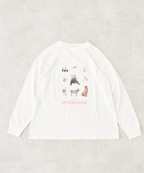 earth music&ecology（アースミュージックアンドエコロジー）の「アソートアニマルプリントロンTee（Tシャツ/カットソー・レディース・ブルー/グリーン/ブラウン/ピンク・FREE）」の4枚目の写真