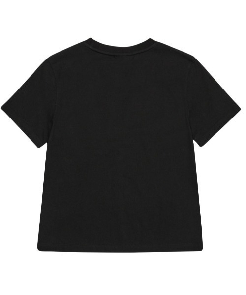 AMESWORLDWIDE（アメスワールドワイド）の「A'GEM/9 × .kom 『AMESWORLDWIDE/アメスワールドワイド』SILVER AMES CROP TEE /シルバーアメスクロップTEE（Tシャツ/カットソー・レディース・ホワイト/ブラック/ブルー・FREE）」の14枚目の写真