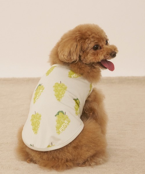 gelato pique（ジェラートピケ）の「【CAT&DOG】【接触冷感】フルーツ柄プルオーバー（ペットウェア・レディース・ミント/イエロー/ピンク系その他・SMALL/MEDIUM/LARGE）」の2枚目の写真