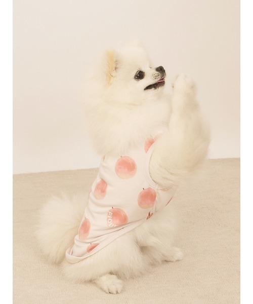 gelato pique（ジェラートピケ）の「【CAT&DOG】【接触冷感】フルーツ柄プルオーバー（ペットウェア・レディース・ミント/イエロー/ピンク系その他・SMALL/MEDIUM/LARGE）」の4枚目の写真