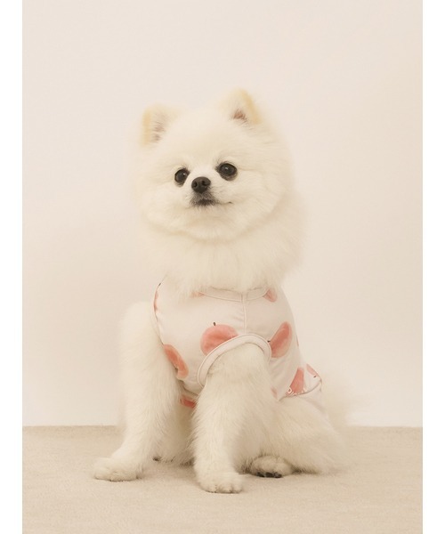 gelato pique（ジェラートピケ）の「【CAT&DOG】【接触冷感】フルーツ柄プルオーバー（ペットウェア・レディース・ミント/イエロー/ピンク系その他・SMALL/MEDIUM/LARGE）」の5枚目の写真