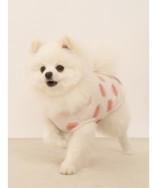 gelato pique（ジェラートピケ）の「【CAT&DOG】【接触冷感】フルーツ柄プルオーバー（ペットウェア・レディース・ミント/イエロー/ピンク系その他・SMALL/MEDIUM/LARGE）」の6枚目の写真