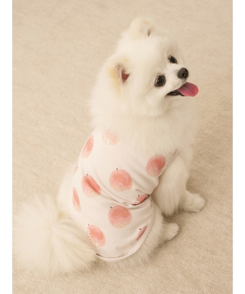 gelato pique（ジェラートピケ）の「【CAT&DOG】【接触冷感】フルーツ柄プルオーバー（ペットウェア・レディース・ミント/イエロー/ピンク系その他・SMALL/MEDIUM/LARGE）」の8枚目の写真