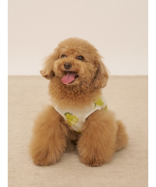 gelato pique（ジェラートピケ）の「【CAT&DOG】【接触冷感】フルーツ柄プルオーバー（ペットウェア・レディース・ミント/イエロー/ピンク系その他・SMALL/MEDIUM/LARGE）」の9枚目の写真