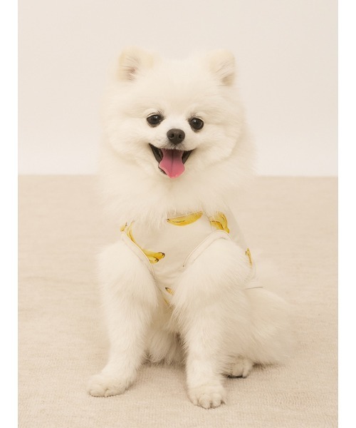 gelato pique（ジェラートピケ）の「【CAT&DOG】【接触冷感】フルーツ柄プルオーバー（ペットウェア・レディース・ミント/イエロー/ピンク系その他・SMALL/MEDIUM/LARGE）」の13枚目の写真