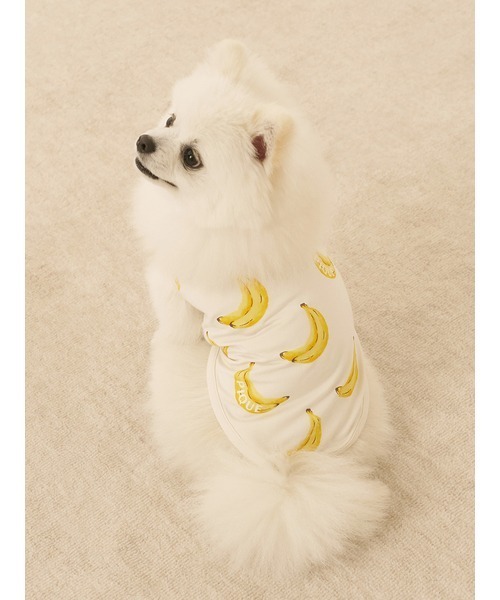 gelato pique（ジェラートピケ）の「【CAT&DOG】【接触冷感】フルーツ柄プルオーバー（ペットウェア・レディース・ミント/イエロー/ピンク系その他・SMALL/MEDIUM/LARGE）」の15枚目の写真