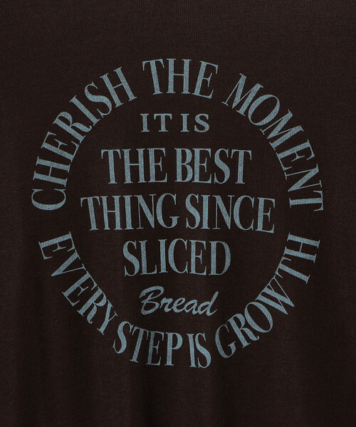 FREAK'S STORE（フリークスストア）の「シアー リンガーロゴTシャツ（Tシャツ/カットソー・レディース・ブラウン/グレー/オフホワイト・ﾌﾘ-）」の11枚目の写真