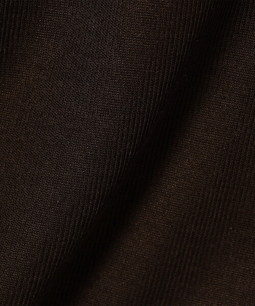 FREAK'S STORE（フリークスストア）の「シアー リンガーロゴTシャツ（Tシャツ/カットソー・レディース・ブラウン/グレー/オフホワイト・ﾌﾘ-）」の10枚目の写真