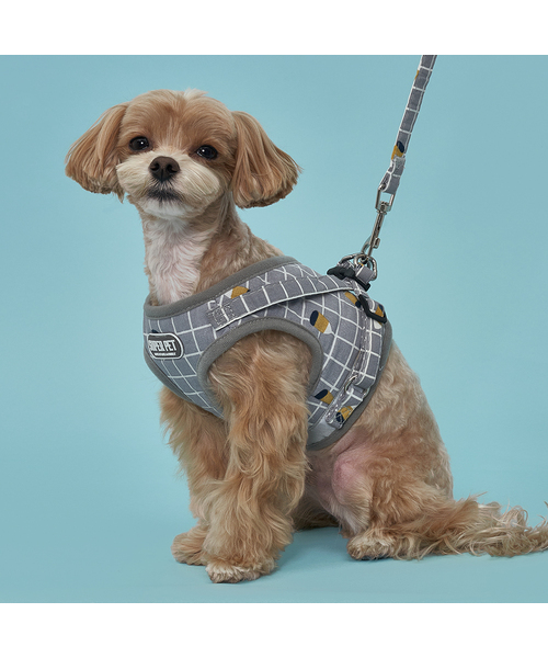 子犬用四角反射光ハーネスリードセット（リード/ハーネス/首輪）｜DOGI