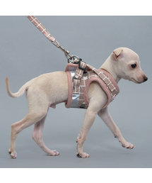 DOGI（ドッグアイ）の「子犬用四角反射光ハーネスリードセット（リード/ハーネス/首輪）」