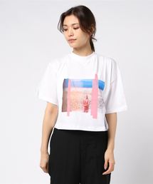 TELA�i�e���j�́u�yTELA�i�e���j�z�N���b�v�h�s�r�g�h�q�s�r�iT�V���c/�J�b�g�\�[�j�v