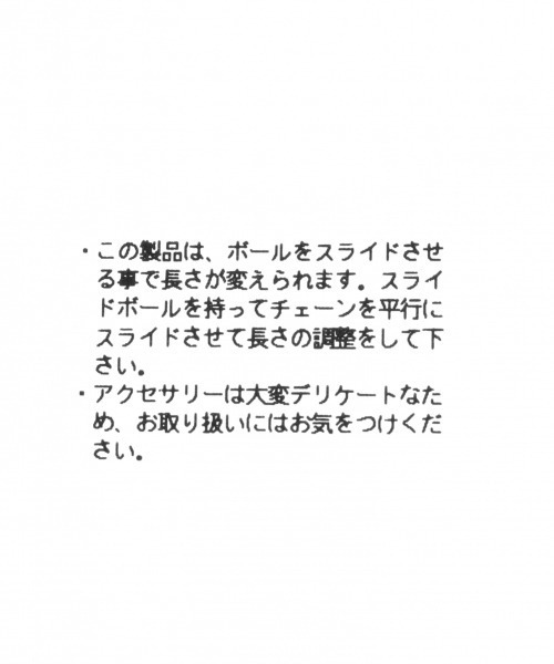 LOWRYS FARM(ローリーズファーム)の「コインネックレス 946649(ネックレス・レディース・ゴールド/シルバー系その他/ゴールド系その他/シルバー/キャメル/ブラウン/グレー系その他/ベージュ・FREE)」の21枚目の写真