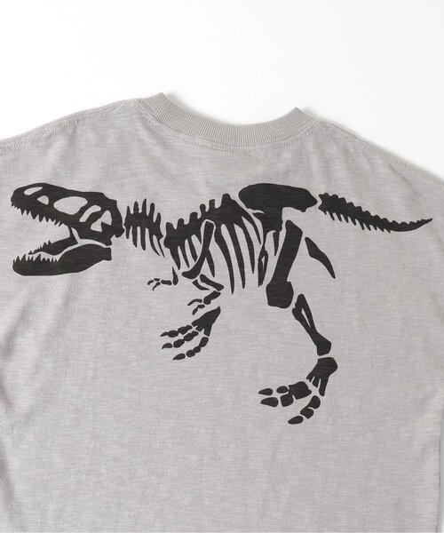 00's デッドストック 恐竜 化石 骨格 標本 両面プリントTシャツ 博物館 m71473620636_1.jpg?1723293637