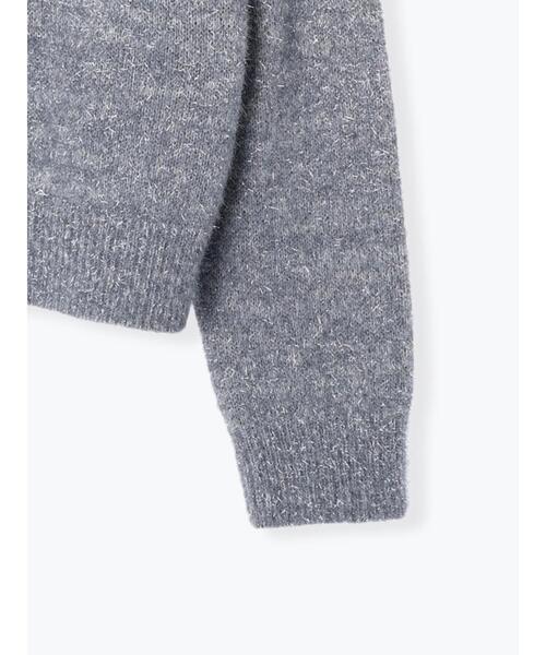 Te chichi（テチチ）の「ラメシャギークルーネックカーディガン（カーディガン/ボレロ・レディース・ブロンズ/シルバー/ゴールド・F）」の20枚目の写真