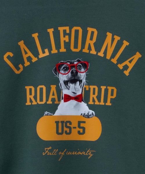 Mac-House（マックハウス）の「アニマルフォトプリントスウェットプルオーバー（スウェット・メンズ・チャコールグレー/オートミール/グリーン/ネイビー・M/XL/L）」の16枚目の写真