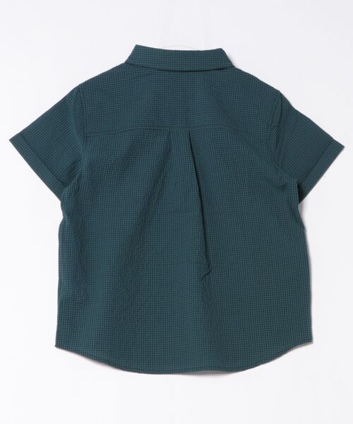 Arnold Palmer(アーノルドパーマー)の「ギンガムチェック コンパクトシャツ(シャツ/ブラウス・レディース・グリーン/ブラック/ネイビー・S/M/L)」の4枚目の写真