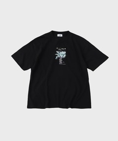 STUSSY/ステューシー BIG & MEATY PIG. DYED TEE プリントT