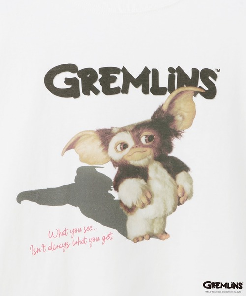 VIS(ビス)の「【グレムリン】VIS別注 ピグメントビッグTシャツ(Tシャツ/カットソー・レディース・ブルー系その他4/ホワイト系その他/スミクロ・FREE)」の18枚目の写真