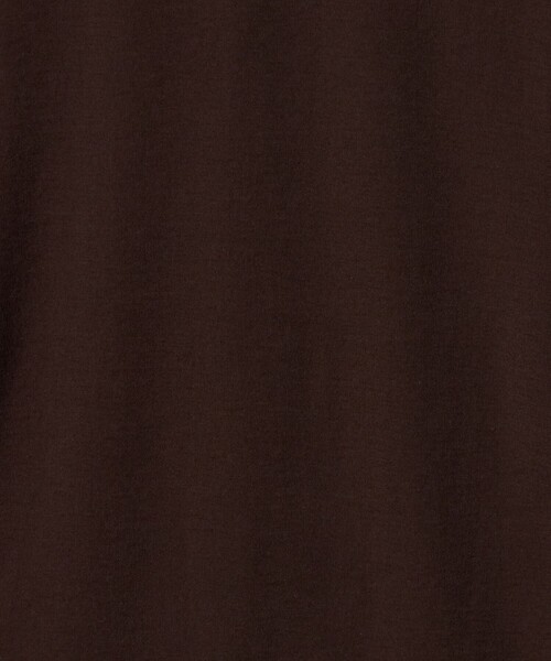 MARW UNITED ARROWS（マルゥ ユナイテッドアローズ）の「＜MARW UNITED ARROWS＞サイドギャザー シアー カットソー（Tシャツ/カットソー・レディース・ダークブラウン/ブラック/ナチュラル・FREE）」の12枚目の写真