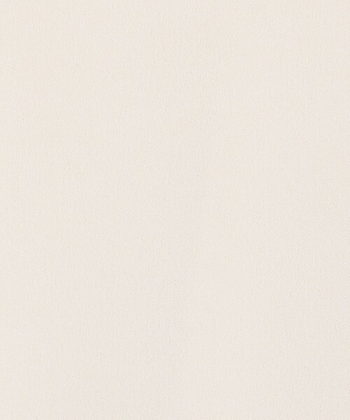 MICO COULIER（ミコクリエ）の「カットジョーゼット襟レースブラウス（襟取り外し可能）（シャツ/ブラウス・レディース・オフホワイト/ブラック/グレイッシュベージュ・38）」の21枚目の写真