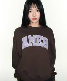 BASIC APPLIQUE SWEATSHIRT BROWN