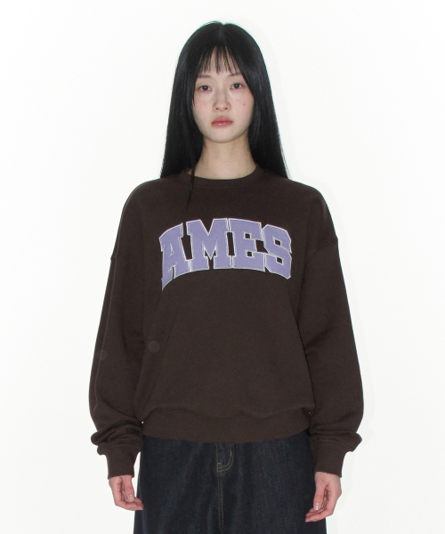 AMESWORLDWIDE（アメスワールドワイド）の「BASIC APPLIQUE SWEATSHIRT BROWN（スウェット・レディース・その他・SMALL/LARGE/MEDIUM）」の2枚目の写真