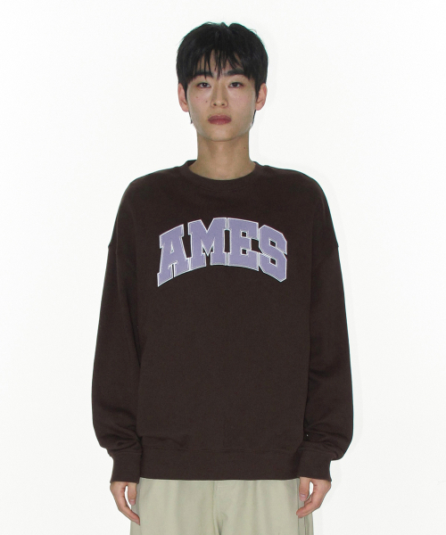 AMESWORLDWIDE（アメスワールドワイド）の「BASIC APPLIQUE SWEATSHIRT BROWN（スウェット・レディース・その他・SMALL/LARGE/MEDIUM）」の3枚目の写真