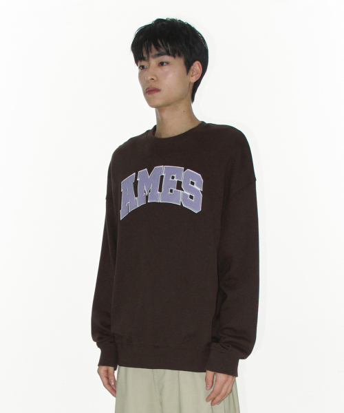 AMESWORLDWIDE（アメスワールドワイド）の「BASIC APPLIQUE SWEATSHIRT BROWN（スウェット・レディース・その他・SMALL/LARGE/MEDIUM）」の5枚目の写真