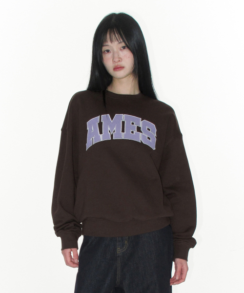 AMESWORLDWIDE（アメスワールドワイド）の「BASIC APPLIQUE SWEATSHIRT BROWN（スウェット・レディース・その他・SMALL/LARGE/MEDIUM）」の6枚目の写真