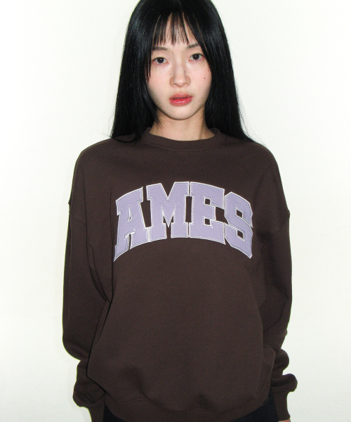 AMESWORLDWIDE（アメスワールドワイド）の「BASIC APPLIQUE SWEATSHIRT BROWN（スウェット・レディース・その他・SMALL/LARGE/MEDIUM）」の8枚目の写真