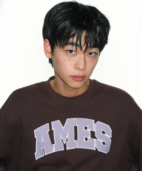 AMESWORLDWIDE（アメスワールドワイド）の「BASIC APPLIQUE SWEATSHIRT BROWN（スウェット・レディース・その他・SMALL/LARGE/MEDIUM）」の10枚目の写真