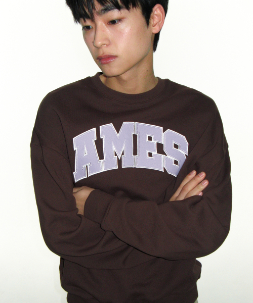 AMESWORLDWIDE（アメスワールドワイド）の「BASIC APPLIQUE SWEATSHIRT BROWN（スウェット・レディース・その他・SMALL/LARGE/MEDIUM）」の11枚目の写真
