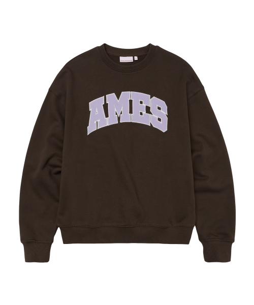 AMESWORLDWIDE（アメスワールドワイド）の「BASIC APPLIQUE SWEATSHIRT BROWN（スウェット・レディース・その他・SMALL/LARGE/MEDIUM）」の12枚目の写真