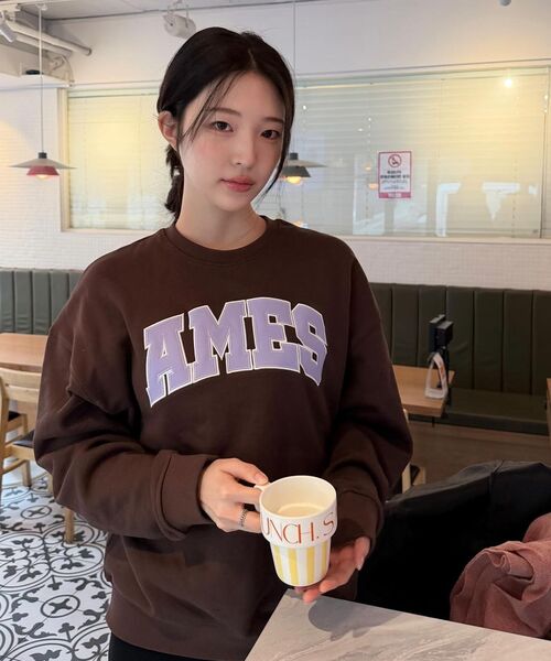 AMESWORLDWIDE（アメスワールドワイド）の「BASIC APPLIQUE SWEATSHIRT BROWN（スウェット・レディース・その他・SMALL/LARGE/MEDIUM）」の14枚目の写真