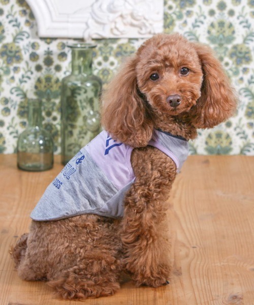 ペットウェア ペットグッズ犬と生活 いぬとせいかつ クールタンクｌｅｔ ｓ ｆｅｅｌ 犬服 ドッグウェア ペットウェア 犬と生活 イヌトセイカツ のファッション