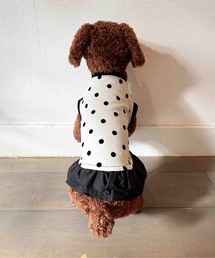 PICCIN PERLA（ピッチンペルラ）の「フロッキードットドッグウェア（ペットウェア）」