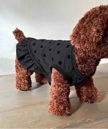 PICCIN PERLA（ピッチンペルラ）の「フロッキードットドッグウェア（ペットウェア）」