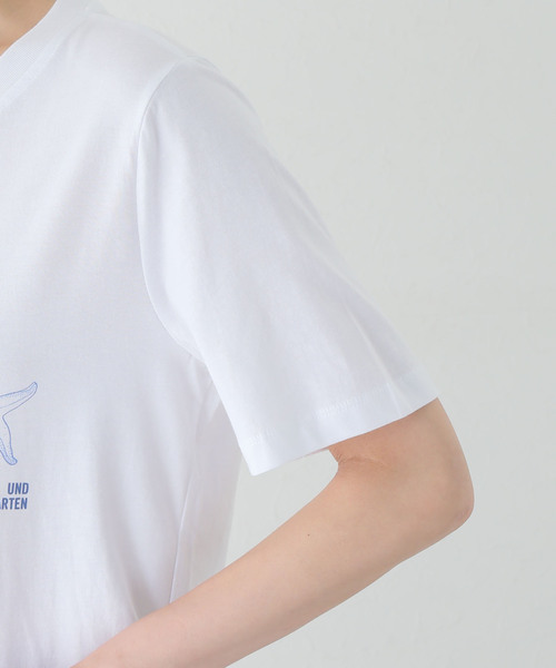BAUM UND PFERDGARTEN(バウムウンドヘルガーデン)の「【BAUM UND PFERDGARTEN/バウム ウンド ヘルガーデン】starfish tee(Tシャツ/カットソー・レディース・ホワイト・SMALL)」の7枚目の写真