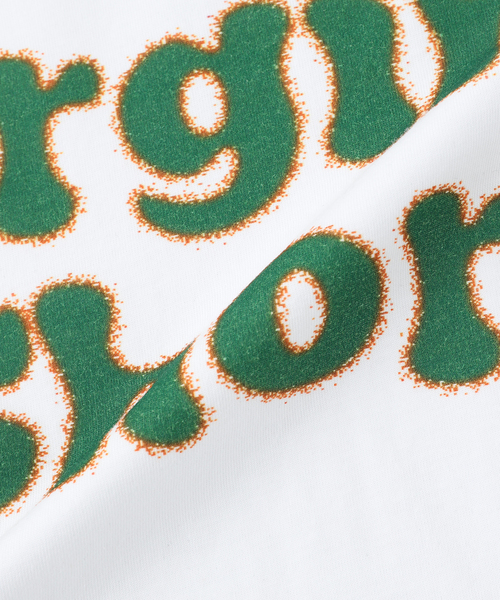 WOKE EDGE（ウォークエッジ）の「WOKE EDGE/ウォークエッジ Virginia Shore Ringer Tシャツ（Tシャツ/カットソー・メンズ・ホワイト・MEDIUM/LARGE）」の10枚目の写真
