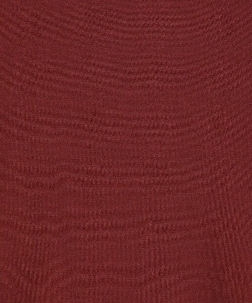 JOHN SMEDLEY（ジョンスメドレー）の「JOHN SMEDLEY KILDAY メリノウール モックネックプルオーバーニット（ニット/セーター・メンズ・ライトブラウン/ボルドー/ネイビー・L/M/S）」の13枚目の写真