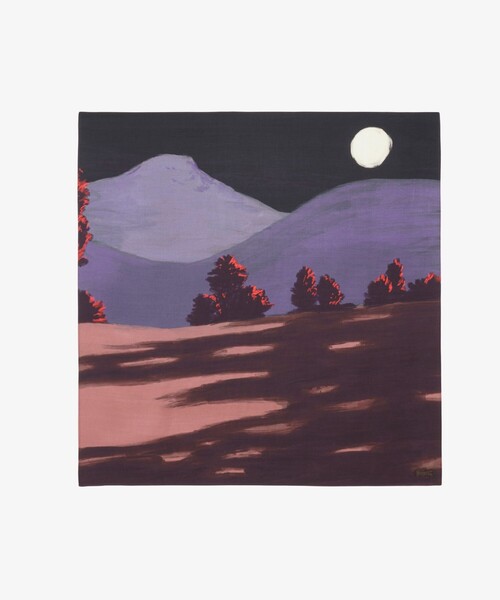 LACOSTE(ラコステ)の「ランドスケーププリントスカーフ(ストール/ショール・レディース・ブラウン・FREE)」の6枚目の写真