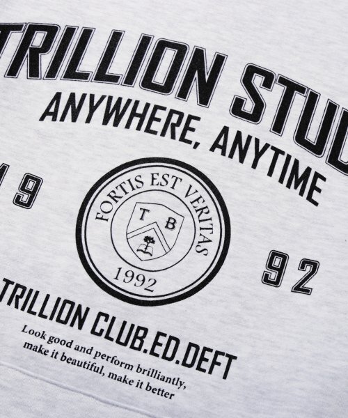 TRILLION(トリリオン)の「スタジオアーチオーバーサイズフードパーカー(メランジグレー)(パーカー・レディース・その他・SMALL/MEDIUM/LARGE/X-LARGE)」の4枚目の写真
