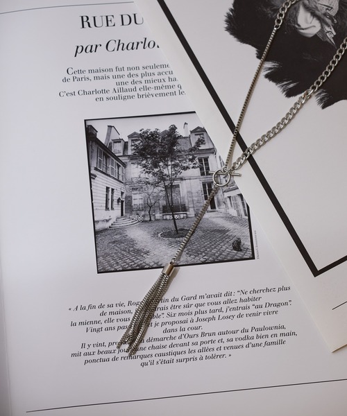 Birthday room（バースデイルーム）の「フリンジチェーンネックレス（ネックレス・レディース・シルバー/ゴールド・FREE）」の3枚目の写真