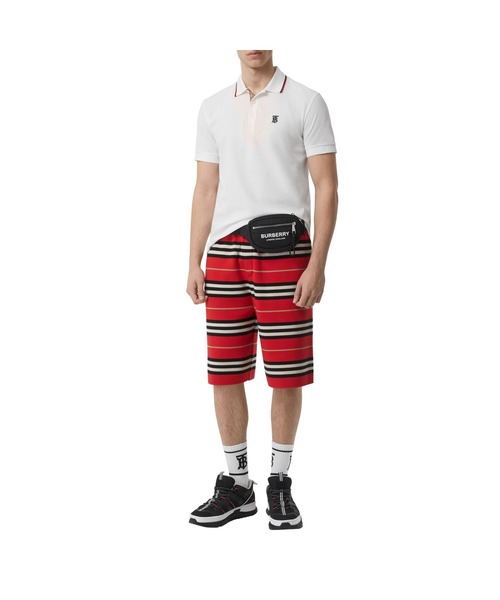 BURBERRY（バーバリー）の「アイコンストライプ プラケット コットンピケ ポロシャツ（ポロシャツ・メンズ・ホワイト・S/M/L/XS）」の2枚目の写真